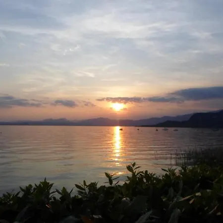 Daire Blue Bardolino